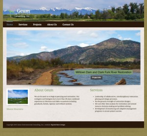 image of website design for geum environmental consulting
